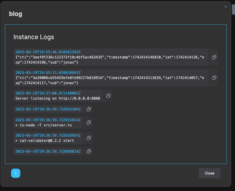 Instance logs for the blog validator showing validated tokens and the server starting